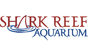 This image logo is used for Shark Reef Aquarium link button